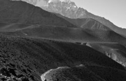 Cara Menentukan Topik Artikel yang Menarik dan Relevan ilustrasi