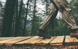 Membangun Kebiasaan Positif dengan Self Reward: Kunci untuk Meningkatkan Produktivitas dan Keseimbangan Hidup ilustrasi