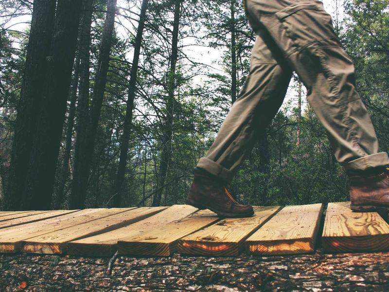 Membangun Kebiasaan Positif dengan Self Reward