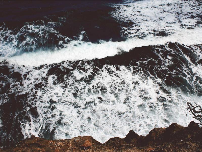 Self Reward vs Self Care