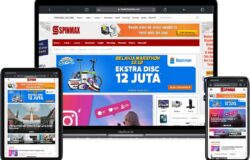tema wordpress spinmax - thearticlespinner