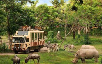 Bali Safari Marine Park: Destinasi Wajib di Bali yang Menghibur dan Edukatif