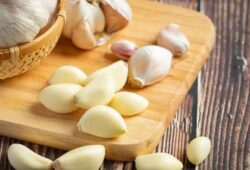 manfaat bawang putih untuk kesehatan