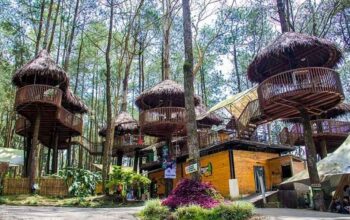 Taman Wisata Kopeng: Destinasi Seru Dengan Sejuta Pesona Alam