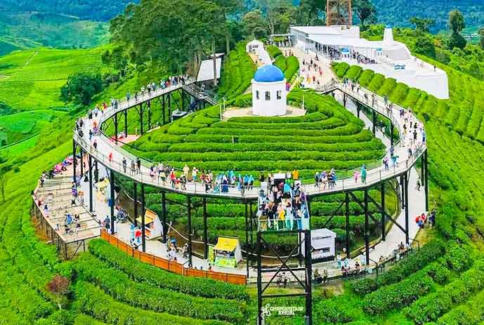 Orchid Forest Cikole
